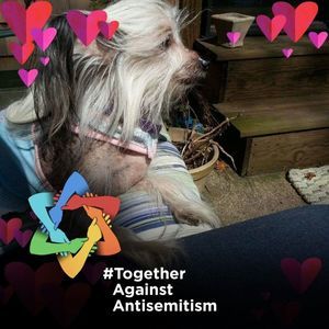 Meet your Posher, Cathy